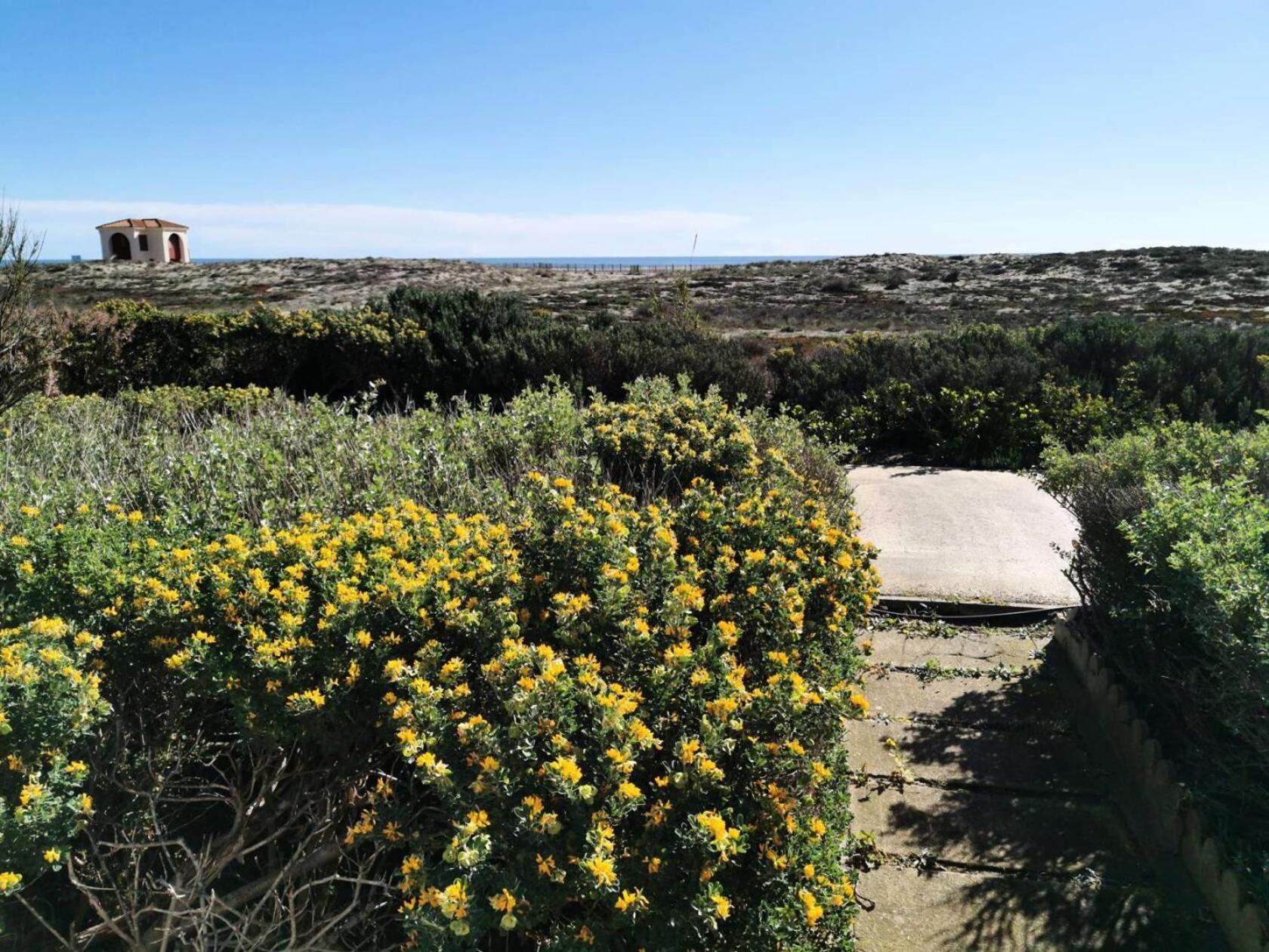 Residence Copacabana - Appartement Pour 6 Personnes A Port Leucate Avec Vue Sur La Mer. Ref: 1Cop_103A Mae-4684 Εξωτερικό φωτογραφία